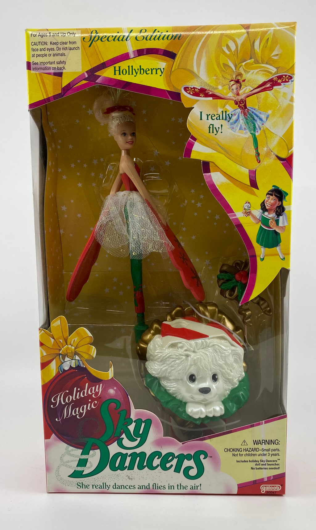 Boxed 'Hollyberry' toy with a dog and a person, featuring 'Sky Dancers' branding.