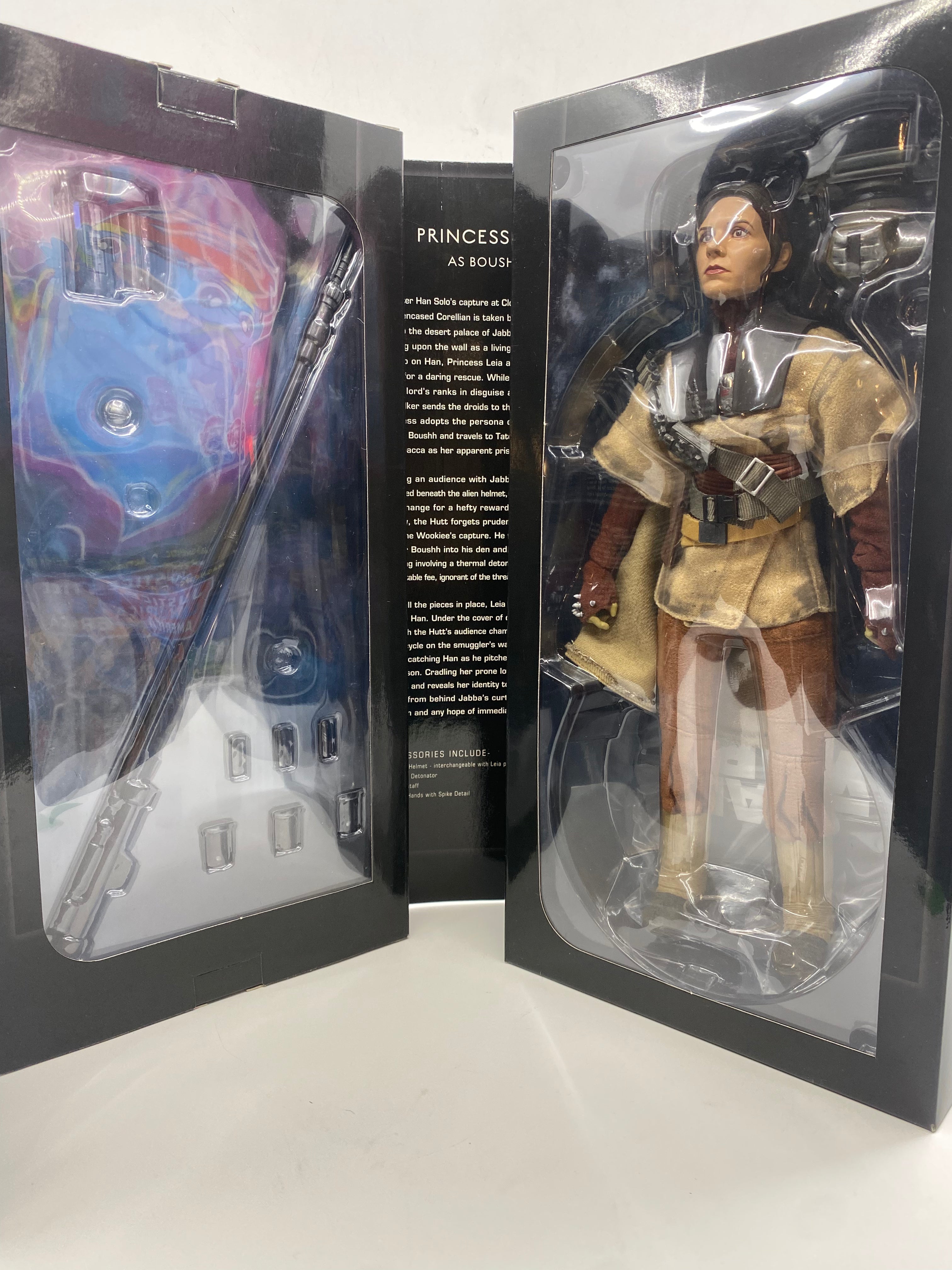 Princess Leia as Boushh
