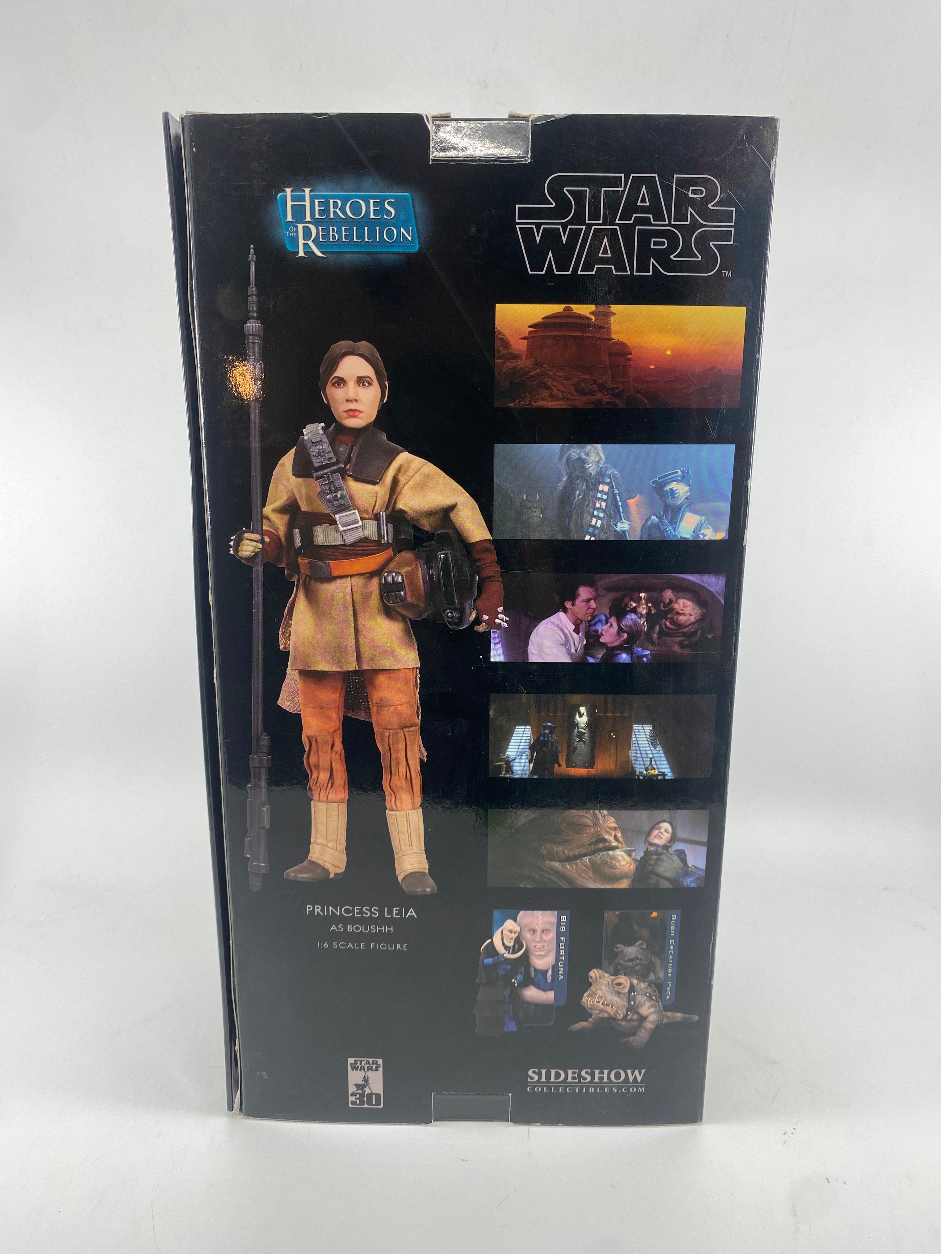 Princess Leia as Boushh